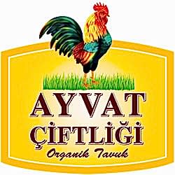 Ayvat Organik Tavuk