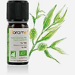 Florame Organik Çay Ağacı  Melaleuca alternifolia  Esansiyel Yağı 10ml