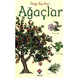 Doğa Kartları: Ağaçlar