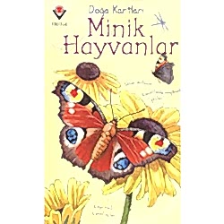 Doğa Kartları: Minik Hayvanlar