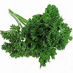 Organik Frenk Maydanozu  DEMET 