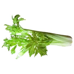 Organik Kereviz Sapı  Demet 