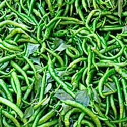 Organik Kıl Biber  KG 