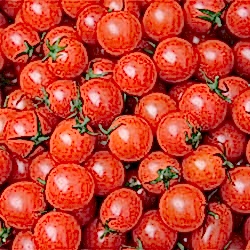 Organik Çeri Domates  KG 