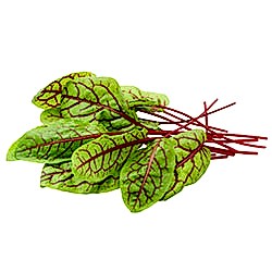 Organik Kırmızı Kuzukulağı  Demet 