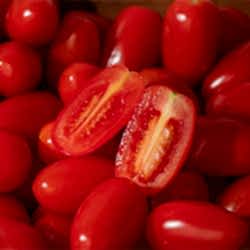 Organik Şeker Domates  KG 