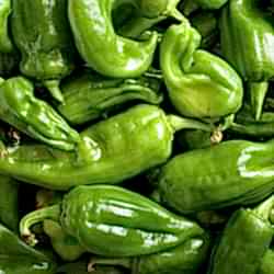 Organik Köy Biberi  KG 