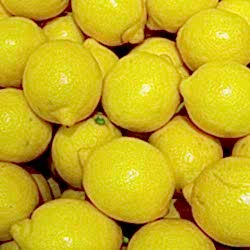 Organik Limon  KG 