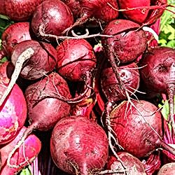 Organik Kırmızı Pancar  KG 