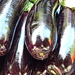 Organik Patlıcan  KG 