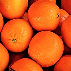 Organik Portakal  KG 