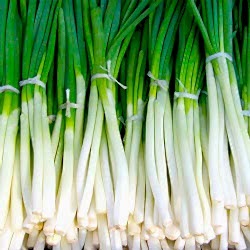 Organik Taze Soğan  DEMET 