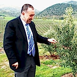 İlhan Sarı Organik Zeytin Çiftliği