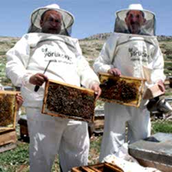 Şahbaz Çay ve Murat Çay, Boynuinceli Eğriçayır